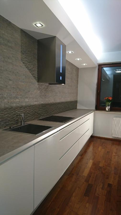 Quiet And Spacious Apartment With Garage Option Cracóvia Exterior foto